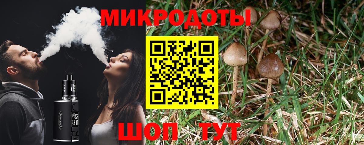 Галлюциногенные грибы мухоморы Обь