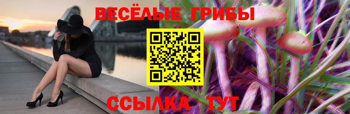 Псилоцибиновые грибы Cubensis  Вход с VPN  Обь  Псилоцибиновые грибы мицелий 
